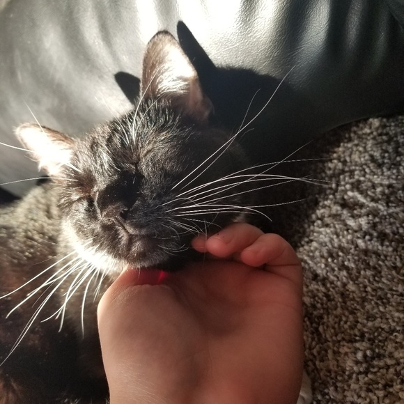 Meet your Posher, Rissa kay - Picture 1 of 1